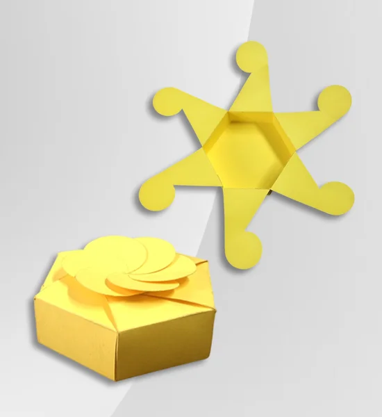 Cajas y empaques especiales